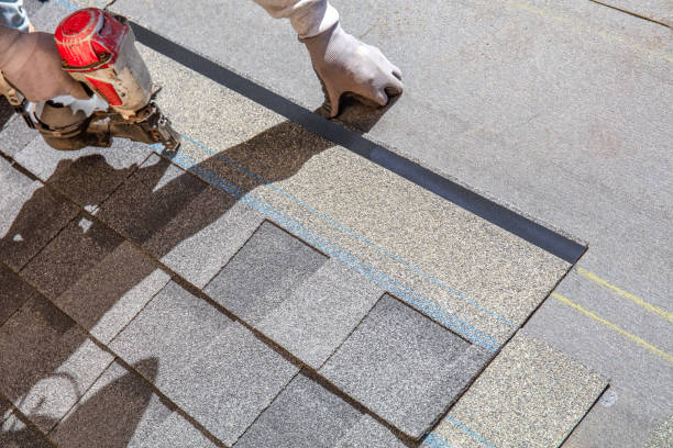 Best Flat Roof Repair Services  in Madison, IL